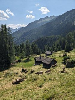 Staumauer Lago Sambuco